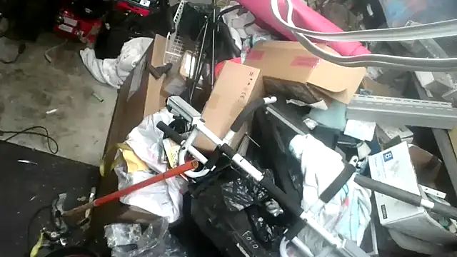 Snapshot of tongueispowerr6d9 chatting on 01/16/25, 05:42 tongueispowerr6d9 online show from 01/16/25, 05:42