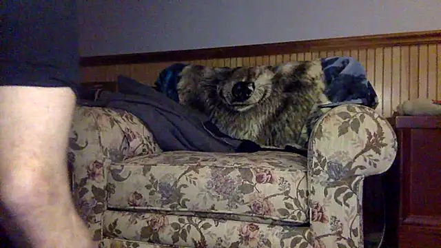 Snapshot of tongueispowerr6d9 chatting on 03/03/26, 02:18 tongueispowerr6d9 online show from 03/03/26, 02:18