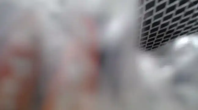 Snapshot of Lovensetest chatting on 02/26/25, 07:09 Lovensetest online show from 02/26/25, 07:09