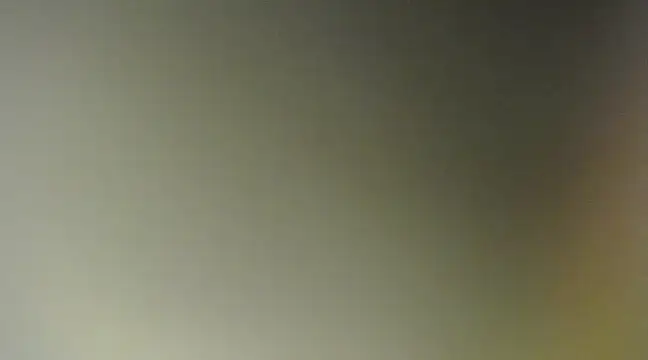 Snapshot of Lovensetest chatting on 03/11/25, 08:52 Lovensetest online show from 03/11/25, 08:52