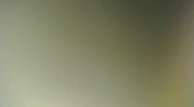 Snapshot of Lovensetest chatting on 03/11/25, 11:55 Lovensetest online show from 03/11/25, 11:55