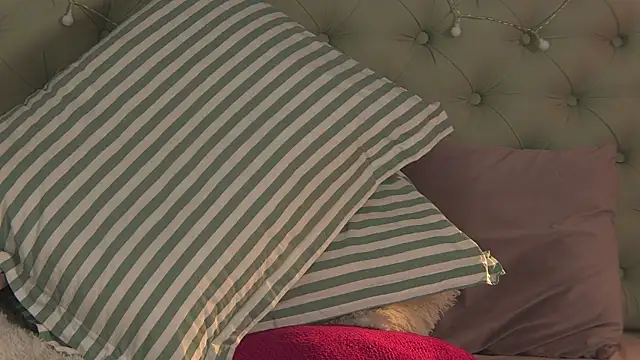 AlicePirs online show from 02/06/25, 11:32