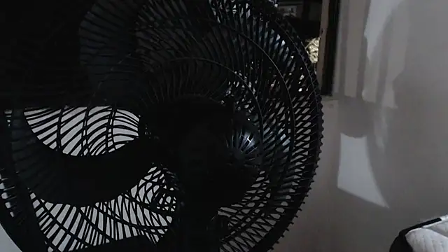 harry greg21 online show from 11/15/25, 01:58