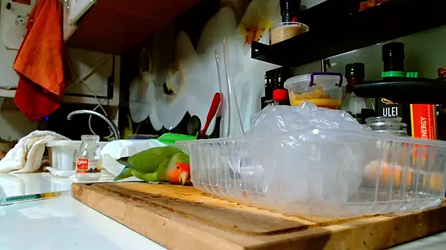 Sophie Bell online show from 01/16/25, 12:12