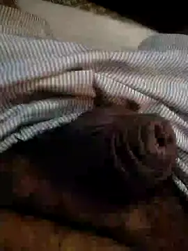 Kinkyluvi online show from 01/06/25, 11:42