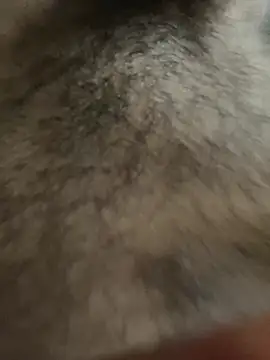 Snapshot of legendcock123 chatting on 02/18/26, 11:17 legendcock123 online show from 02/18/26, 11:17