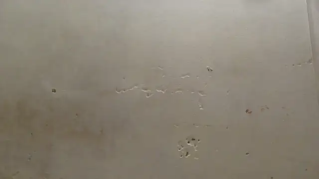 curvysexybody online show from 01/16/26, 09:41