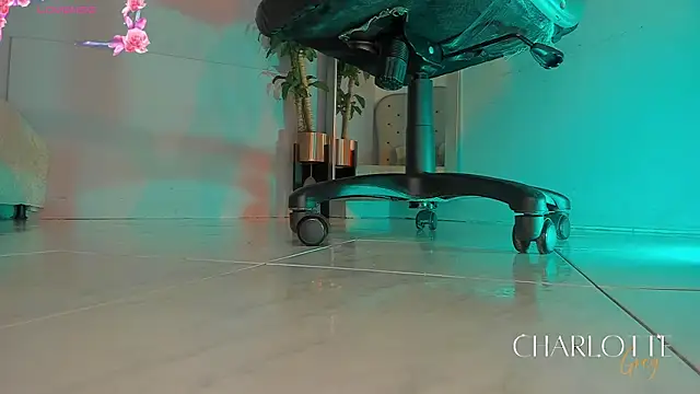 charlotte  grey online show from 12/01/25, 07:52