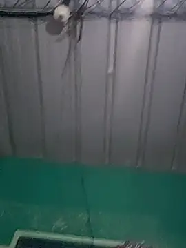 Cris29 84 online show from 02/24/26, 08:23