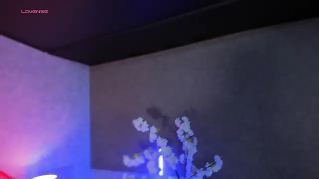 Snapshot of MelodyAdamss chatting on 02/14/26, 11:34 MelodyAdamss online show from 02/14/26, 11:34