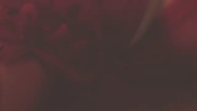 Snapshot of oxiris_1 chatting on 01/16/25, 01:48 oxiris 1 online show from 01/16/25, 01:48