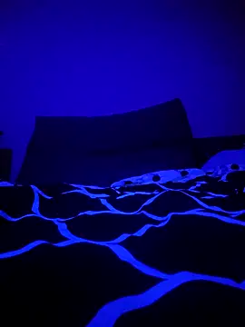 Snapshot of McdyllanXX chatting on 01/11/25, 01:06 McdyllanXX online show from 01/11/25, 01:06