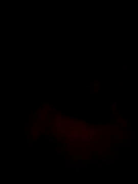 Mahi-00B online show from 01/16/26, 06:12