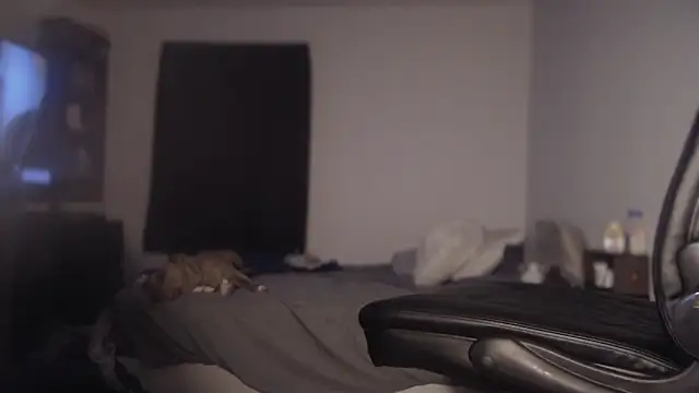 flexingplexico online show from 03/01/25, 11:17