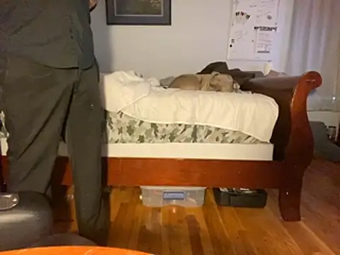 flexingplexico online show from 01/14/26, 01:06