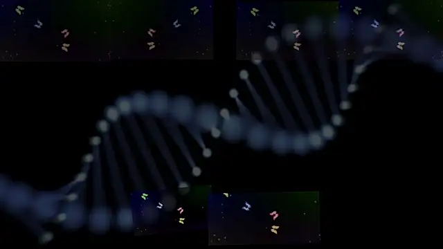 OwenBluee online show from 01/29/25, 09:33