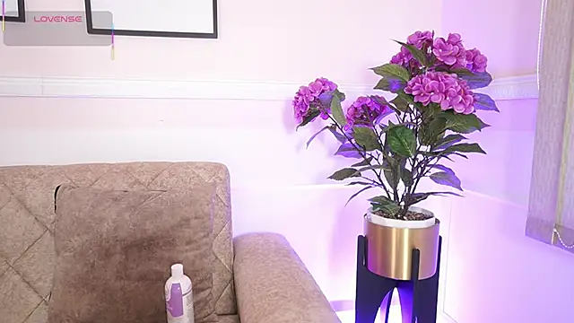 Anybuny online show from 12/18/25, 12:11