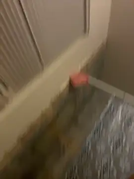 prettlovely14 online show from 02/20/26, 04:42