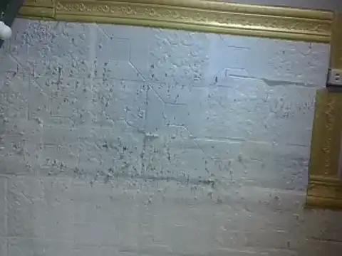 hairywetjhing online show from 07/12/26, 04:20