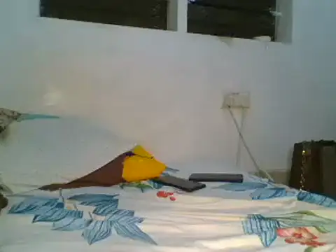 sherry anne online show from 02/06/25, 04:58