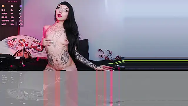 catipetite online show from 02/08/25, 09:57