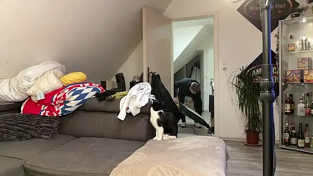 Cookieboy88 online show from 01/07/26, 06:32