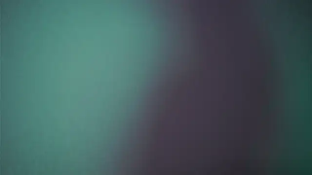 ginger hugs online show from 02/18/25, 01:10