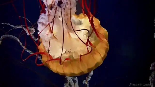 Snapshot of streamy_test11 chatting on 02/26/26, 03:11 streamy test11 online show from 02/26/26, 03:11