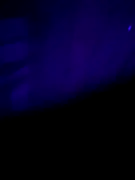 nehacplsex online show from 01/25/25, 06:57