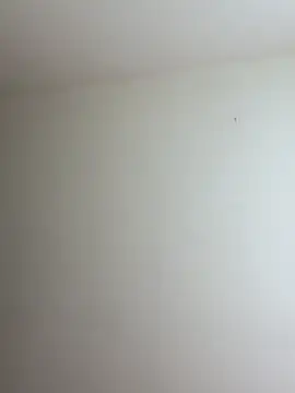 mikuru hara online show from 04/04/26, 08:50