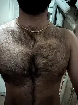 Snapshot of hairy_gun chatting on 01/27/25, 05:37 hairy gun online show from 01/27/25, 05:37