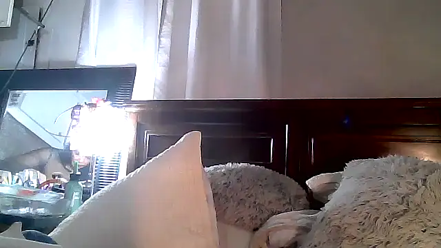 paiday online show from 12/04/24, 12:08