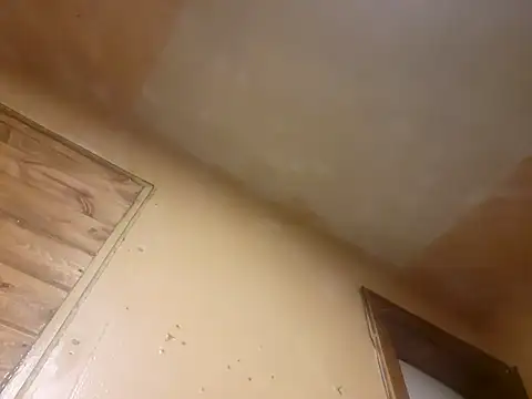 Snapshot of BigDDave6979 chatting on 03/13/25, 07:42 BigDDave6979 online show from 03/13/25, 07:42