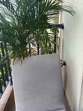 Pretty Isadora online show from 03/04/26, 04:57