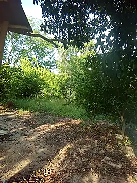 natally ross21 online show from 02/05/26, 12:43