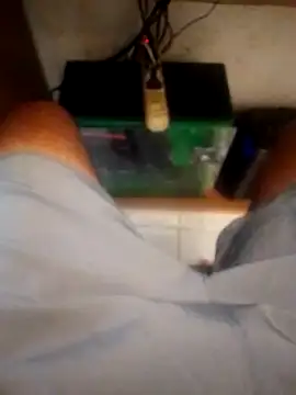 betinhodelas online show from 10/18/25, 05:14