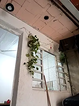 Brasilsexxx online show from 12/18/25, 02:45