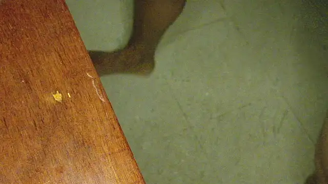 KingCobraClassy online show from 03/11/25, 09:15