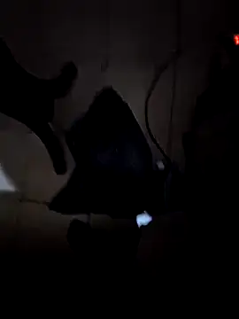 Snapshot of everyoneneeds chatting on 12/26/24, 07:03 everyoneneeds online show from 12/26/24, 07:03