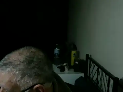 100Tauros online show from 04/08/26, 09:26