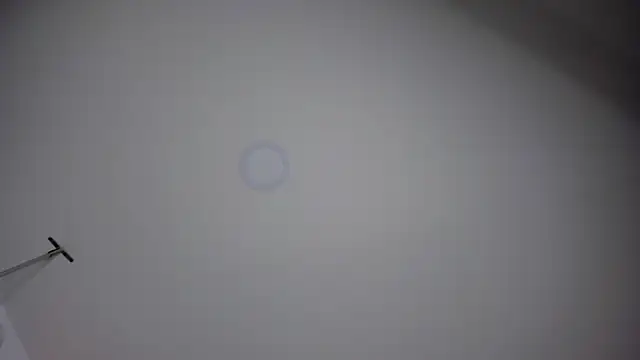 ChloeConnorr online show from 12/28/24, 10:23