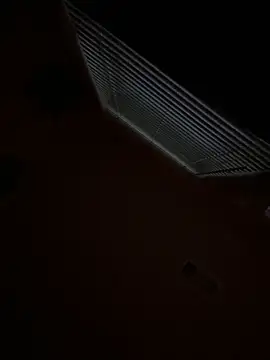 goldbuni online show from 11/29/25, 12:52