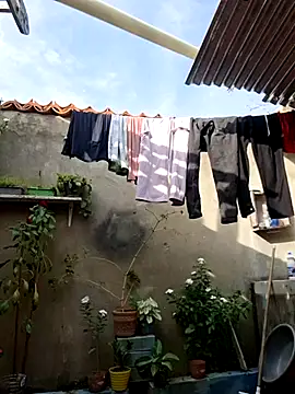 Snapshot of room_24funn chatting on 01/10/26, 08:32 room 24funn online show from 01/10/26, 08:32