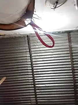 Andreita 95 online show from 03/21/26, 11:04