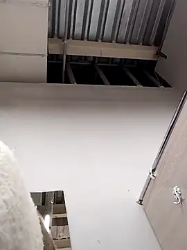 Morphine 666 online show from 12/14/24, 06:13