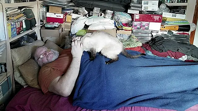 Snapshot of hadeszeuss2 chatting on 12/12/24, 02:33 hadeszeuss2 online show from 12/12/24, 02:33