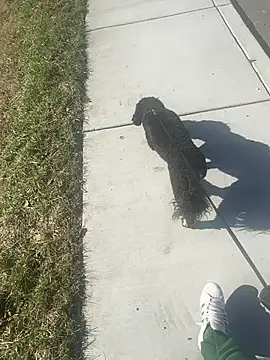 Esauhot online show from 02/24/25, 08:25