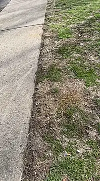 Esauhot online show from 02/25/25, 07:03