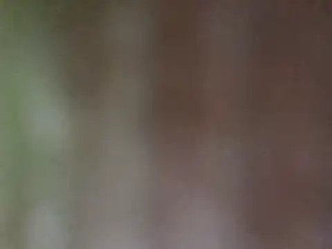 misu09 online show from 02/28/25, 03:04