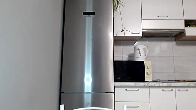 Snapshot of SierraSky_ chatting on 04/02/26, 05:21 SierraSky online show from 04/02/26, 05:21